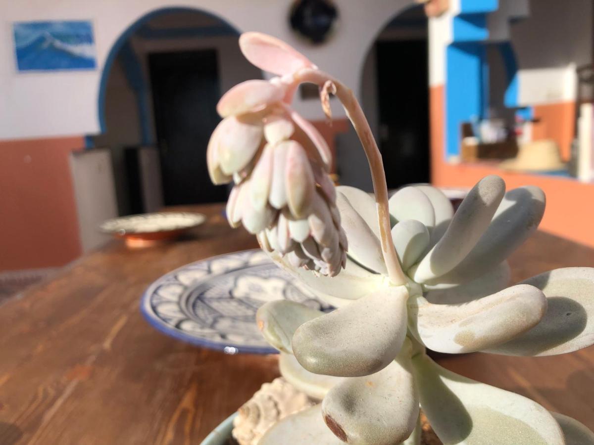 Binic Surf House Bed and Breakfast Taghazout Eksteriør billede