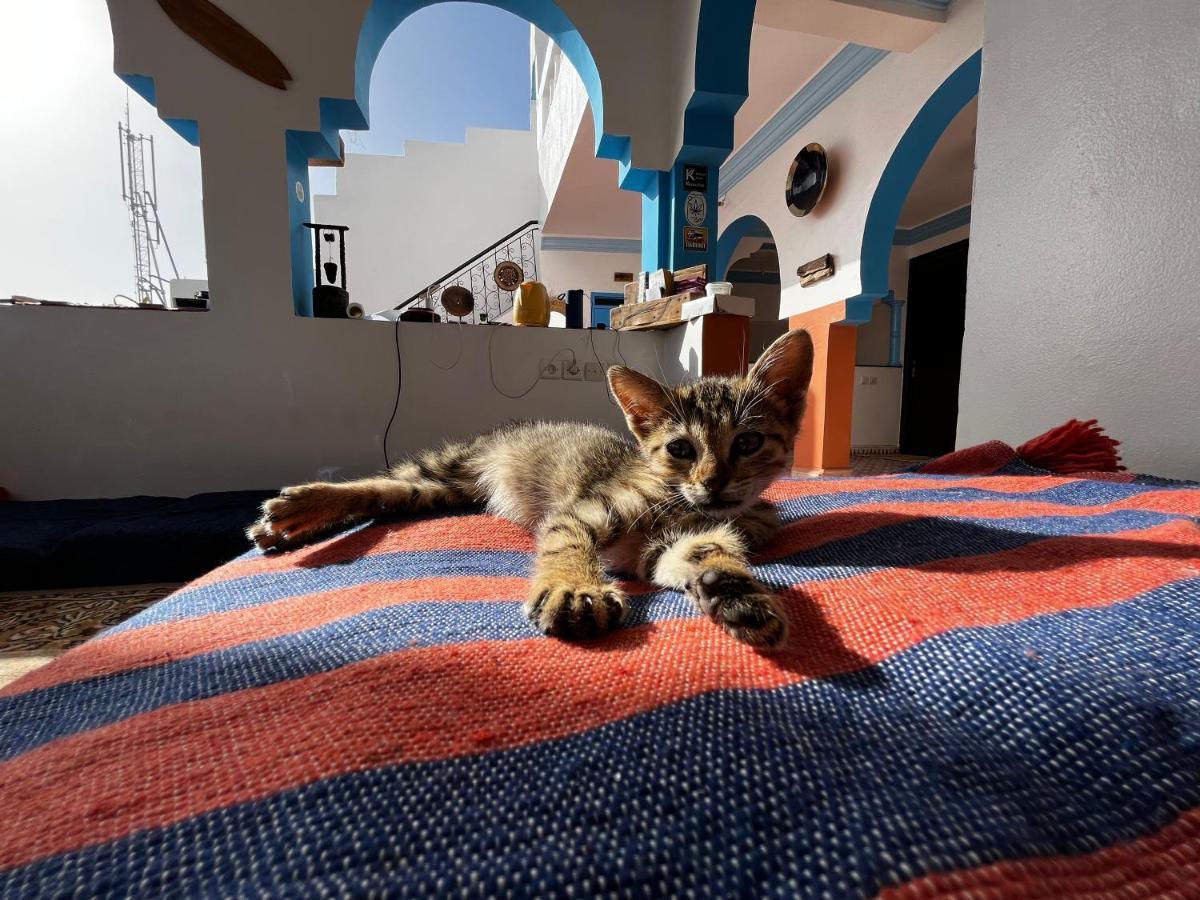 Binic Surf House Bed and Breakfast Taghazout Eksteriør billede